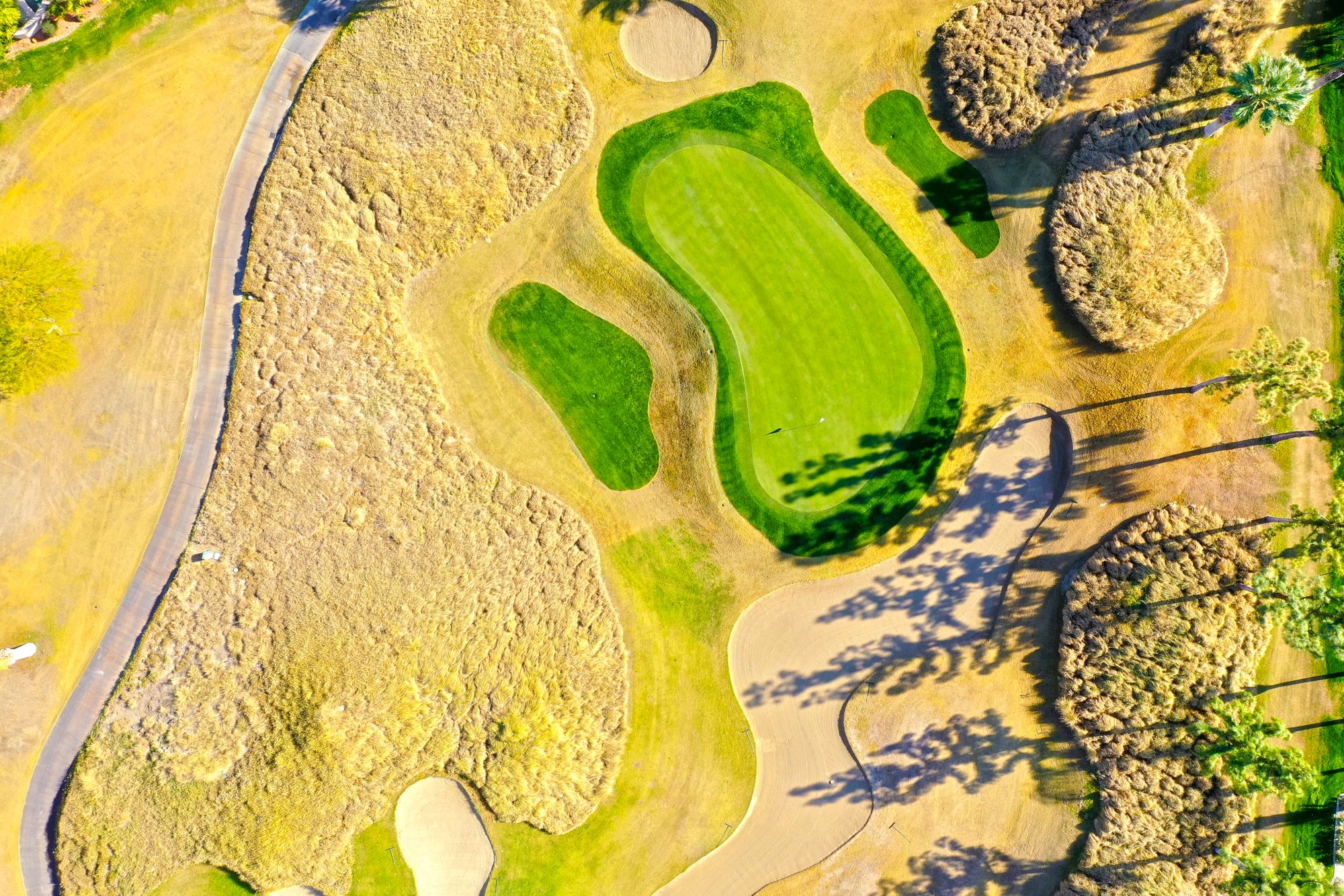 Aerial view of a desert golf green, sand bunkers, and long palm tree shadows